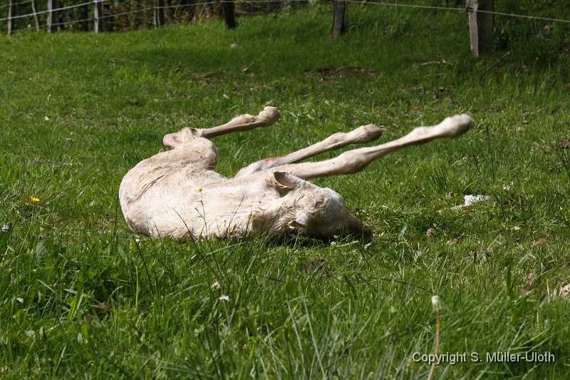 Hjoerdis 16 Min alt.JPG